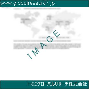 グローバルリサーチ調査資料のイメージ
